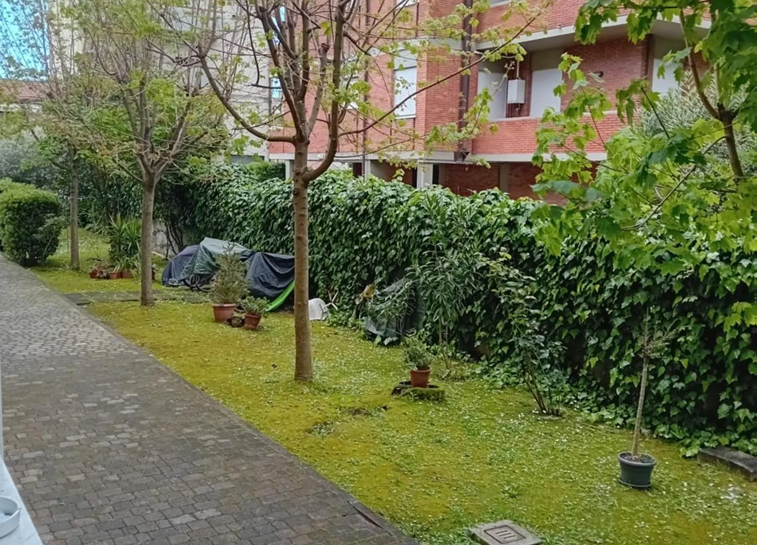 Apartment Casa Vacanze Lida Marina Di Carrara Italy